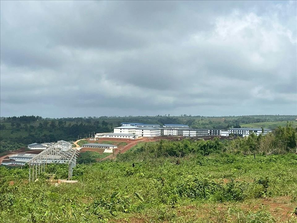 柬埔寨清剿电诈为何无法触及大型园区?